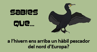 M&eacute;s informaci&oacute;